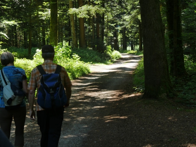 Oberaargau_2017_40