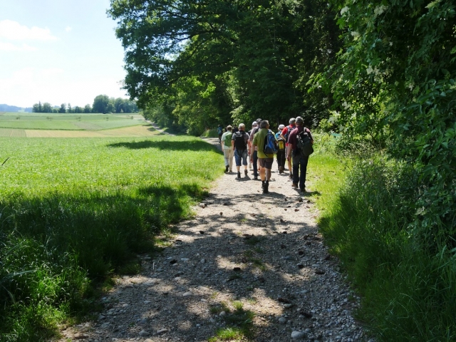 Oberaargau_2017_48