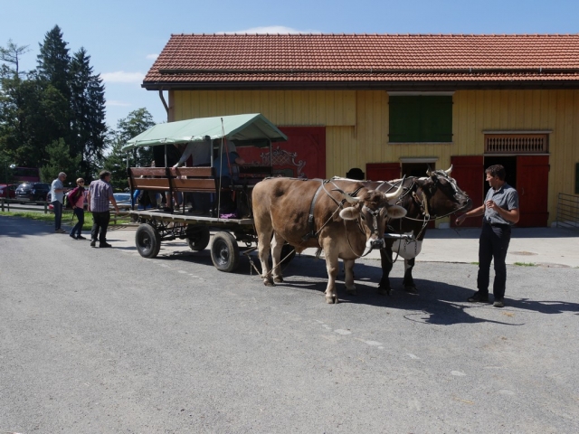 Appenzell_2018_061